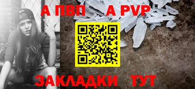 индика Кингисепп