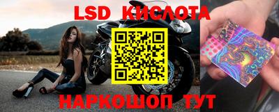 индика Кингисепп