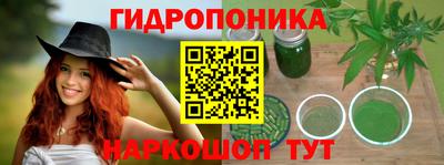 гидропоника Кинель