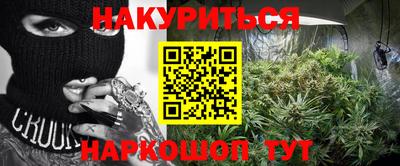 индика Кингисепп