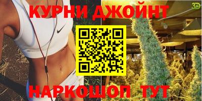 индика Кингисепп