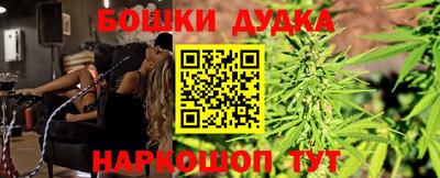 индика Кингисепп