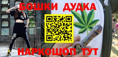 индика Кингисепп