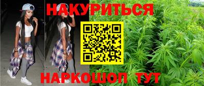 индика Кингисепп