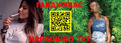 индика Кингисепп