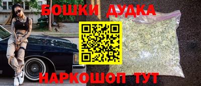 индика Кингисепп