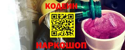 индика Кингисепп