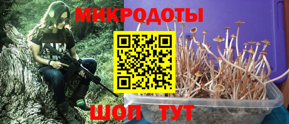 Галлюциногенные грибы Magic Shrooms  Вход с VPN  Волжский 